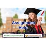 Avail Of Cheap Assignment Help At No1AssignmentHelp.Com, Kuala Lumpur, logo