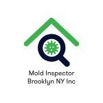 Mold inspector Brooklyn NY Inc, Brooklyn, logo