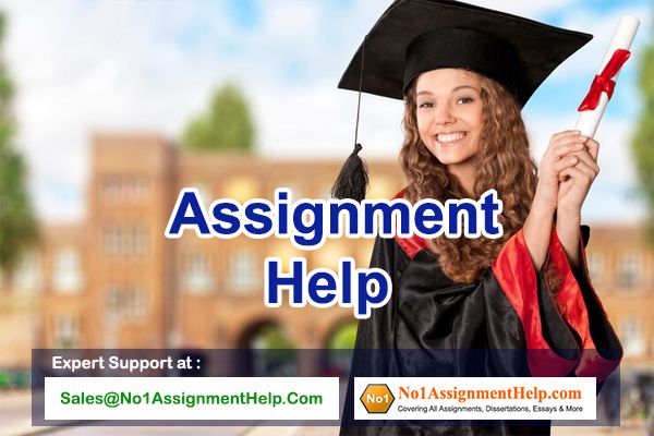 Student Assignment Help – Ask An Expert At No1AssignmentHelp.Com, New York City
