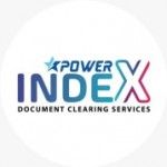POWER INDEX MANAGEMENT SERVICES LLC, Abudhabi, logo
