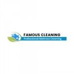 Famous Mattress Cleaning, Adelaide, logo