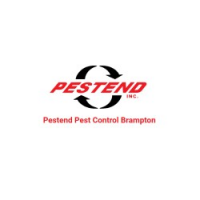 Pestend Pest Control Brampton, Brampton