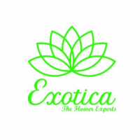 Exotica – The Gifting Tree, New Delhi