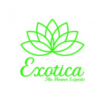 Exotica – The Gifting Tree, New Delhi Exotica – The Gifting Tree, New Delhi
