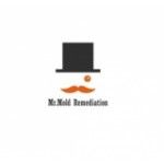 Mr.Mold Remediation, The Bronx, logo