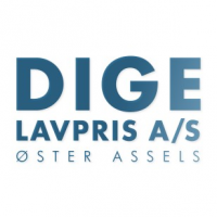Dige Lavpris A/S, Øster Assels