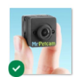 Mr Petcam, None