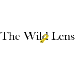 The Wild Lens, Casablanca, logo