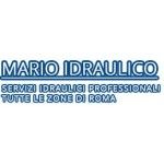Mario Idraulico Roma, Roma, logo