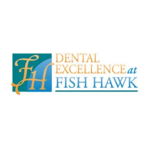 Dental Excellence At FishHawk, Florida