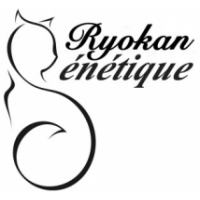 Ryokan Genetique Cat Boarding Hotel, Singapore Ryokan Genetique Cat Boarding Hotel, Singapore
