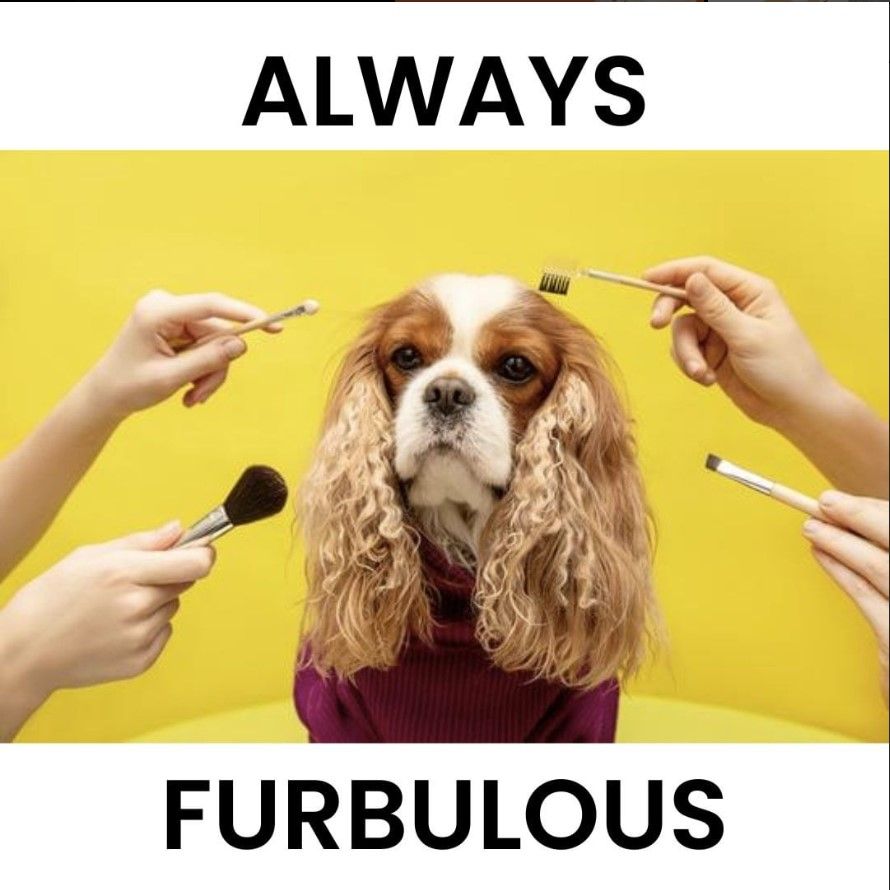 THE HEALTHIER FRESH FOOD YODOGGO DIET WILL GIVE YOUR DOGGO A HEALTHIER AND SHINIER COAT. Visit https://yodoggo.com/ Today only. YoDoggo Pte Ltd Singapore THE HEALTHIER FRESH FOOD YODOGGO DIET WILL GIVE YOUR DOGGO A HEALTHIER AND SHINIER COAT. Visit https://yodoggo.com/ Today only.