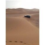 TRAVEL DESERT MOROCCO, marrakech, logo