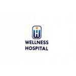 wellness hospitals, Hyderabad, logo