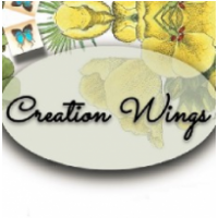 Creation Wings, Kansas