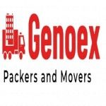 Genoex Packers and Movers, Solapur, logo
