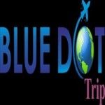 BLUE DOT TRIP, JAIPUR, logo