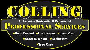 Colling Professional Services, 83401