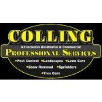 Colling Professional Services, 83401, logo