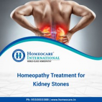 Kidney Stone Treatment In Homeopathy, Hyderabad Kidney Stone Treatment In Homeopathy, Hyderabad