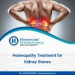 Kidney Stone Treatment In Homeopathy, Hyderabad, logo