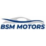 Bsm Motors Llc, SALEM, logo