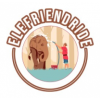 Elefriendride, Jaipur Elefriendride, Jaipur