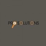 Pro Solutions Locksmith Company, Brandon, logo