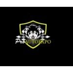 PRO AUTO EXPO INC, STAFFORD, logo