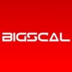 Bigscal Technologies Pvt. Ltd., New York, logo