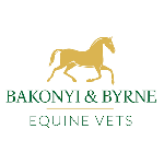 B&B Equine Vets, Carlow, logo