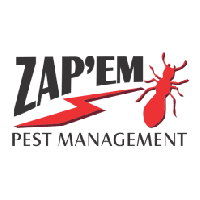 Zapem Pest Management, Robina Zapem Pest Management, Robina