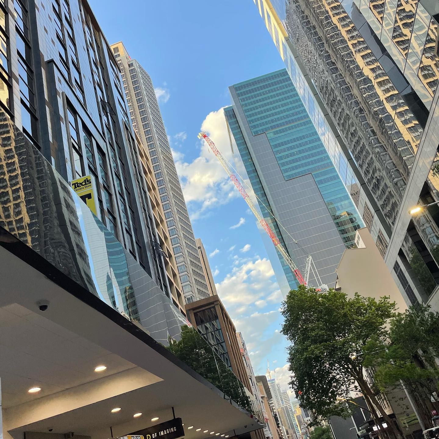 ZJ BUILD UP PTY LTD Chester Hill NSW 2162 