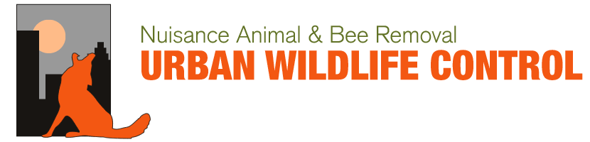 Urban Wildlife Control, Inc, atlanta