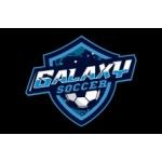 Galaxy Sports Asia, hong kong, 徽标