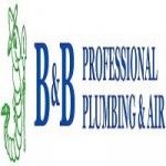 B&B Professional Plumbing and Air - Tampa, Tampa, logo