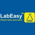 LabEasy India, Pune, logo