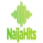 NaijaHits Afrobeats Music, Lagos, logo