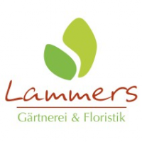 Lammers Gärtnerei & Floristik, Büren Lammers Gärtnerei & Floristik, Büren