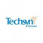 Techsyn, Dubai, logo