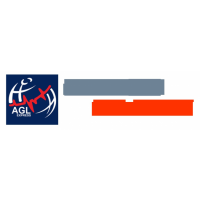 AGL INTERNATIONAL COURIER SERVICES LLC, DUBAI AGL INTERNATIONAL COURIER SERVICES LLC, DUBAI