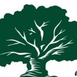 Top Cut Tree Service, Conroe, logo
