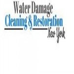 Water Damage Cleaning & Restoration - New York, Bronx, logo