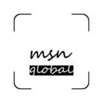 MSN Global IT Solution, Lahore, logo