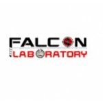 Falcon Laboratory, Dubai, logo