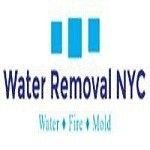 Water Removal NYC, New York, logo