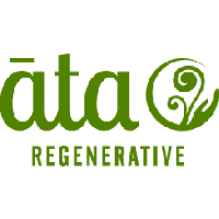 Ata Regenerative, Cambridge Ata Regenerative, Cambridge