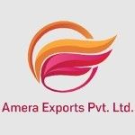 Amera Exports Private Limited, Lucknow, प्रतीक चिन्ह