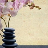 Omega Massage & Wellness, Calgary Omega Massage & Wellness, Calgary