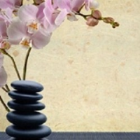 Omega Massage & Wellness, Calgary